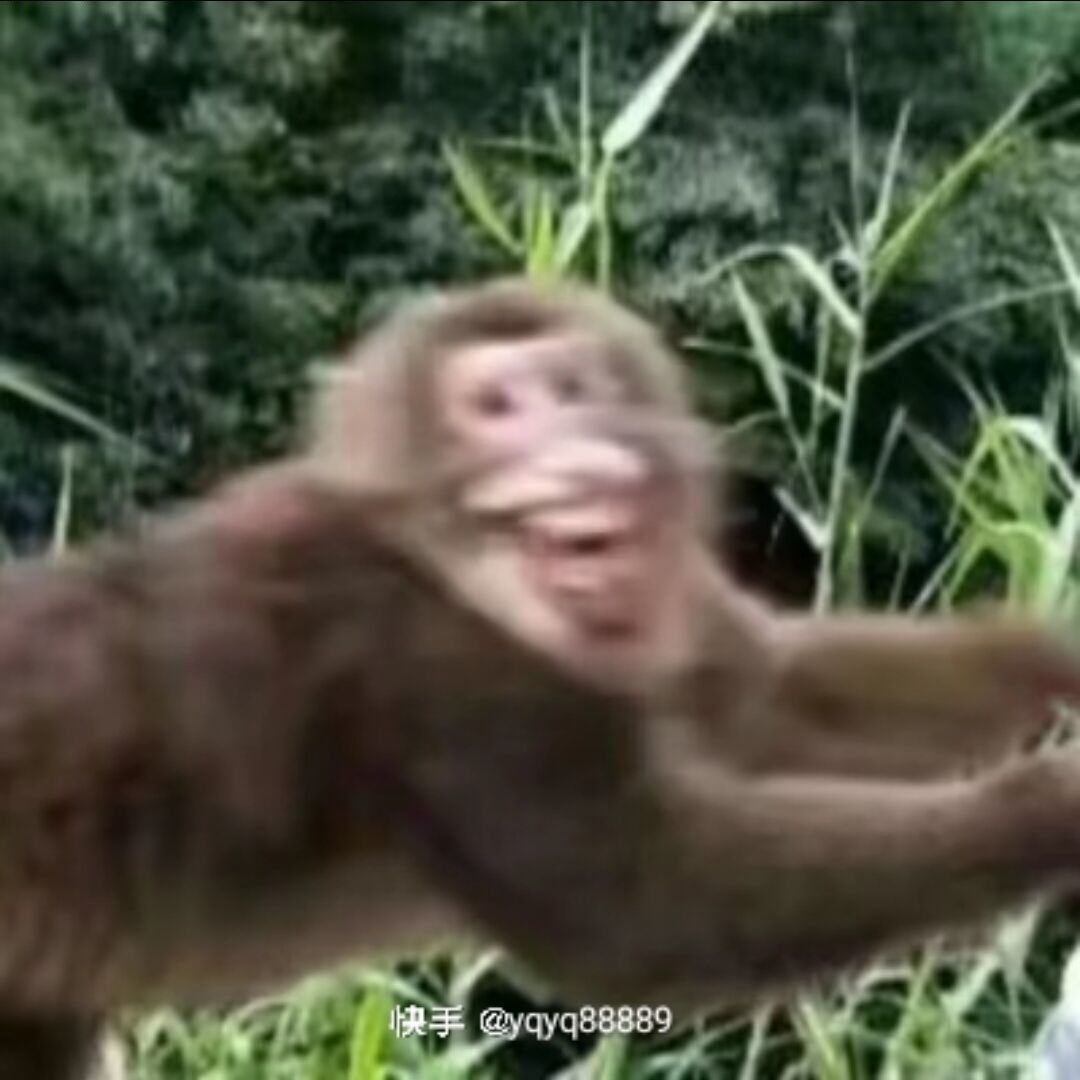 ：（_629