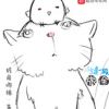 我是猫大王