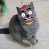 树脂食油