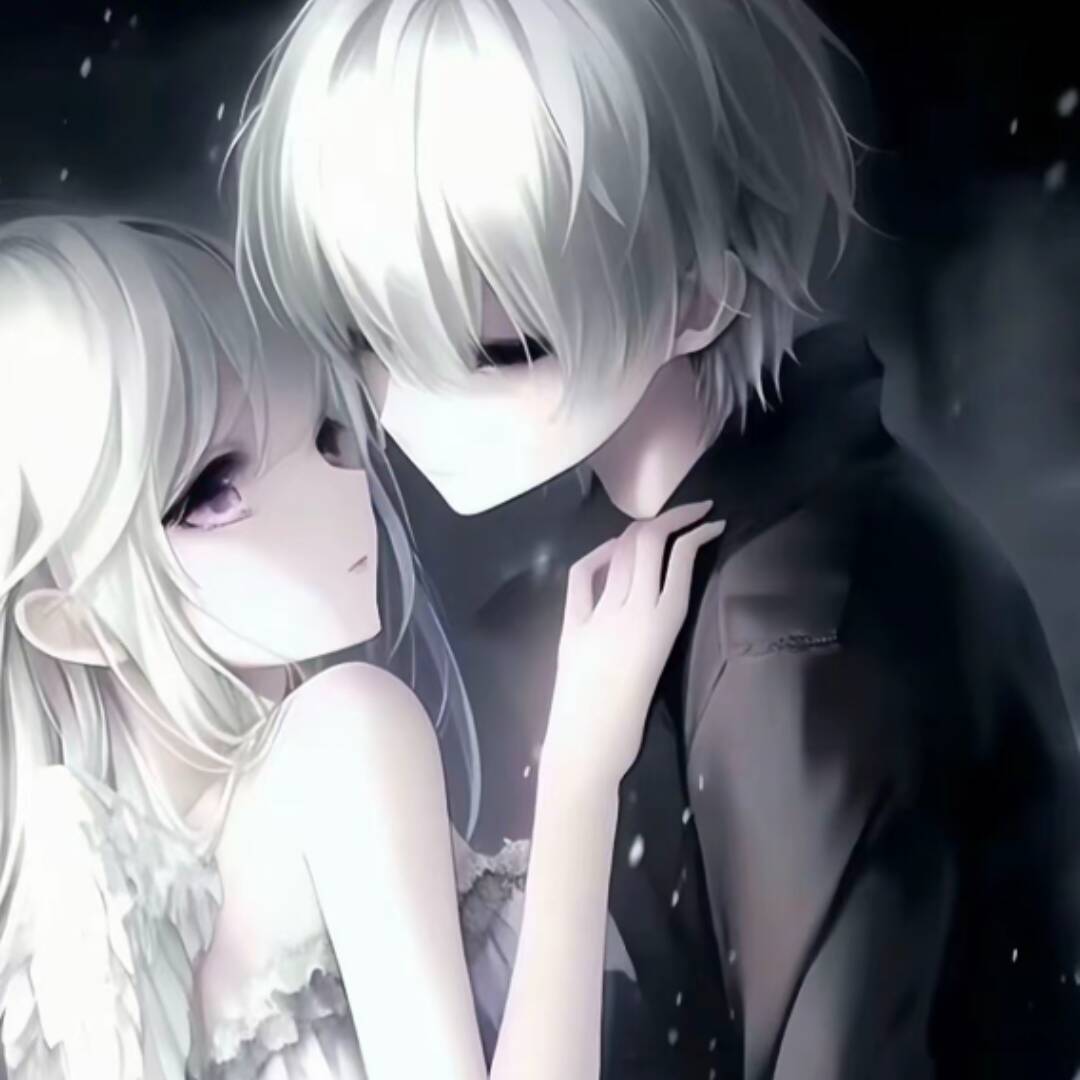 杨的