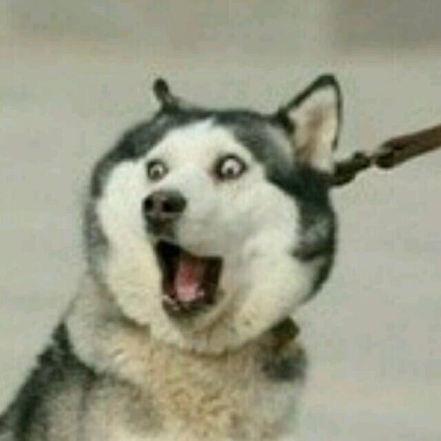 Chasing the dream people