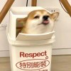 诺言 - 狐狸资源网