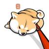 hyhzds的头像-魔酷网