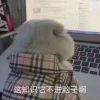 大脾气