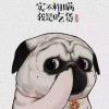 用户22718000的头像-zibll子比社区