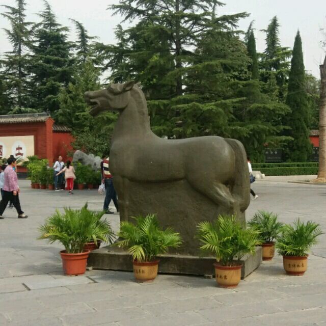 avctar