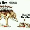 独黑(･ิϖ