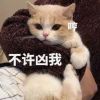 相望相忘