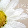 路人甲的头像-七玩网
