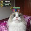 中意_164