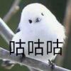 弱气之凶