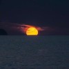 びゃくやこう的头像-iPA资源站