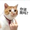 给我出