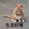 彳亍_445