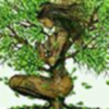 锦垠的头像-魔酷网