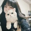 停舟问烟柳