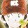 啄木鸟go