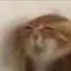 。的钢琴谱