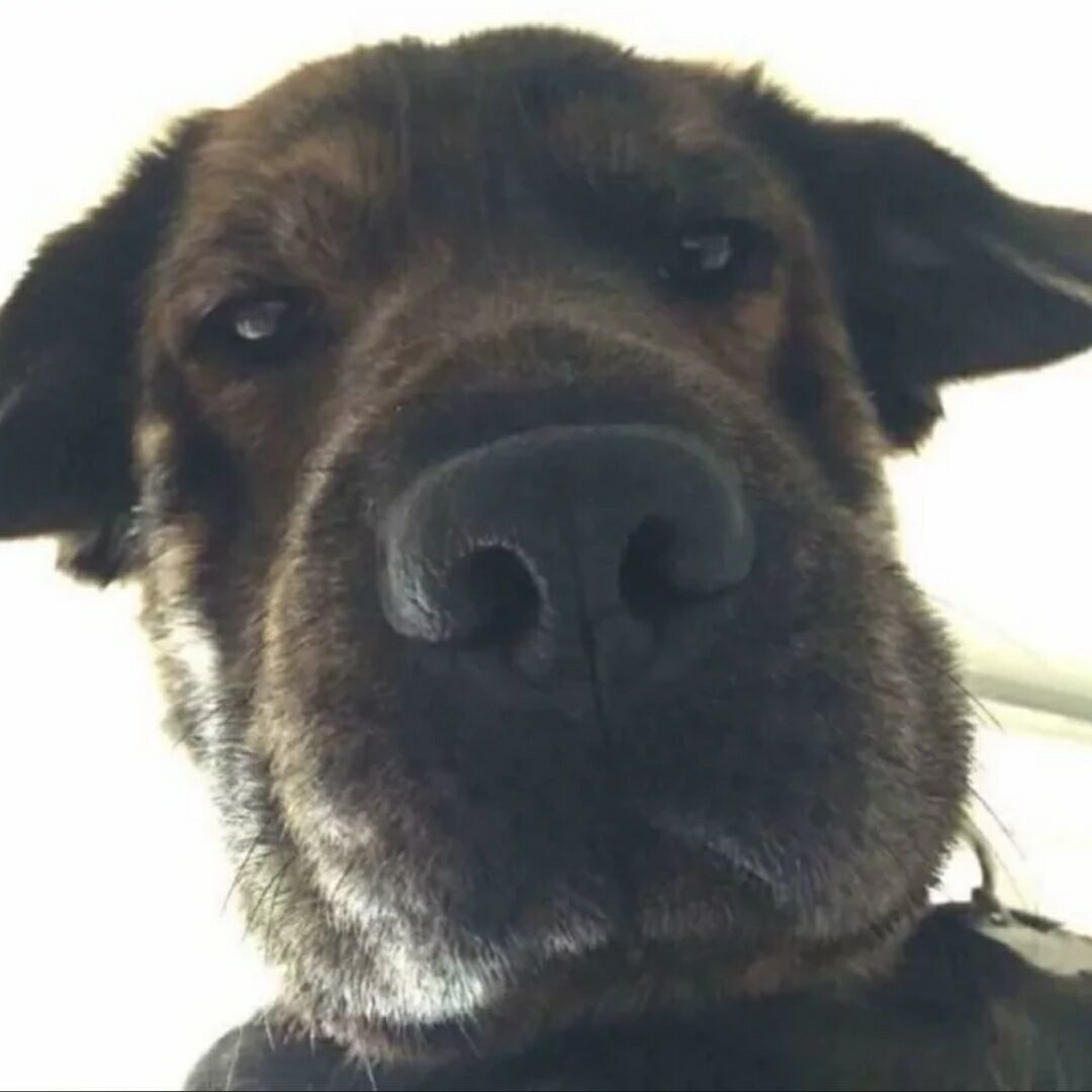 网友昵称：@拾零