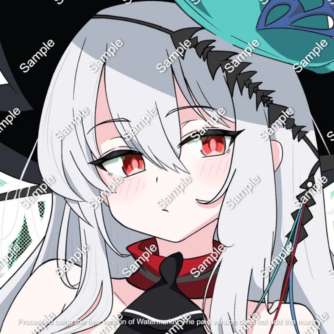 一只鸭子