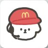 愚蠢小刘