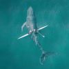 ……21751