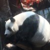绝