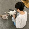 鲵鯪
