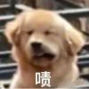 超人不会飞-cg男孩