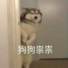 　_746