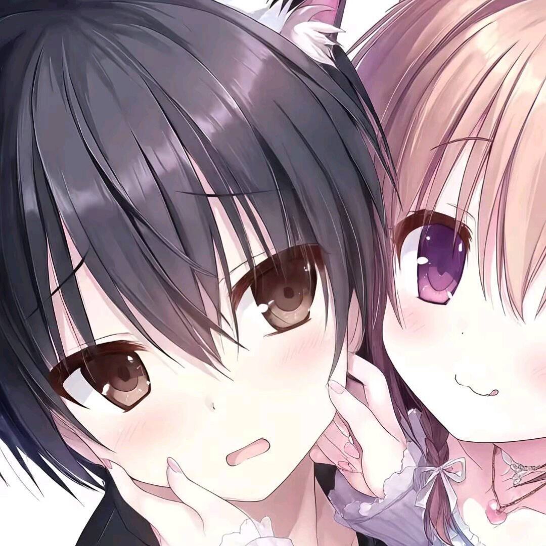 ㅤㅤㅤㅤㅤ