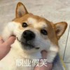 用户51047457的头像-iPA资源站