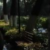A115200的头像-魔酷网