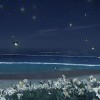 用户34363249的头像-iPA资源站