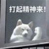 旧巷