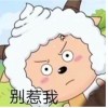 q864473235-资源V站