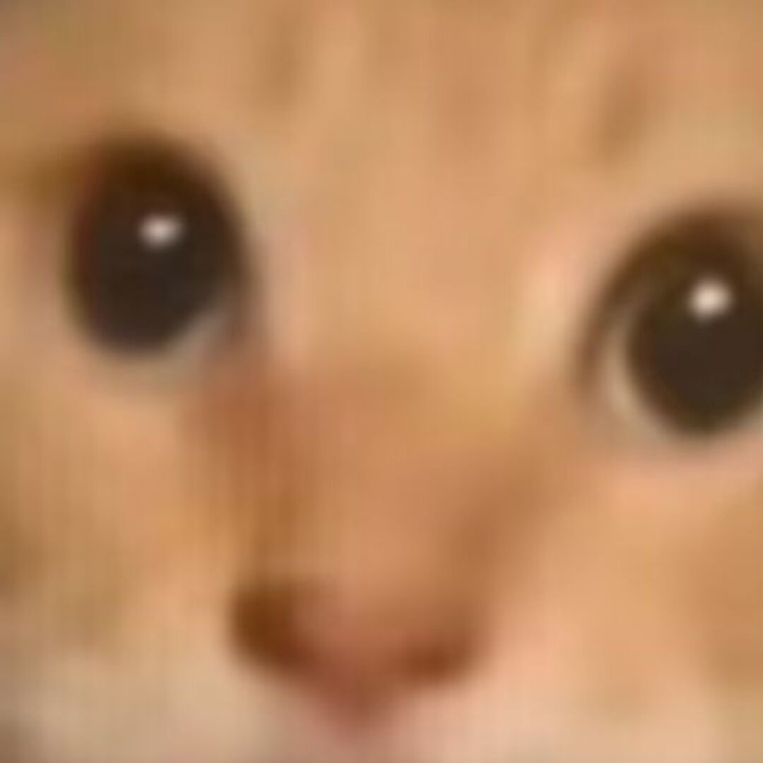 678