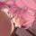 しげらないの、桜です_4FF