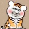满目山河137758