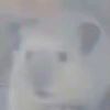 答应