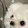 然然吧