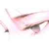 用户97765947的头像-iPA资源站
