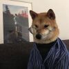 xiaoxue21566的头像-【TITAIKE】T太科网