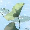 1.1.1.1的头像 - 极核GetShell