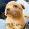我要滑着走