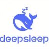 DeepSeek