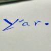 Yar﹖