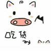 wdf521的头像-软栈
