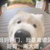 没想好的呢称