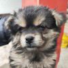 分离亦是如一